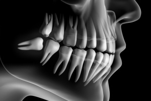 Ученые допустили регенерацию зубов у взрослых людей