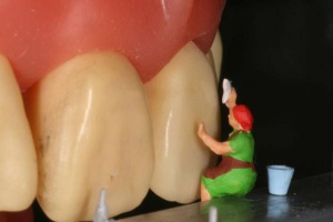 «Toothville» стоматолога Яна Дэвиса